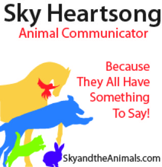 Sky Heartsong Animal Communication